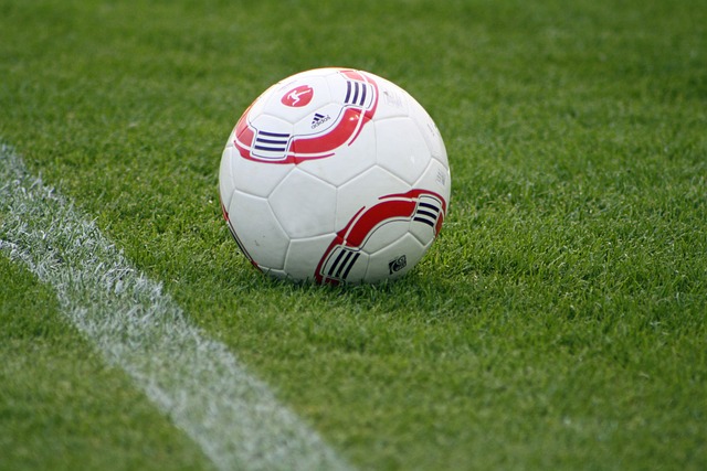 新和合作著 新和合作著