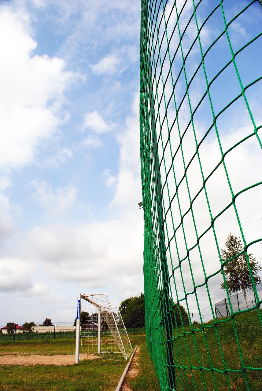 带来了活力 带来了活力