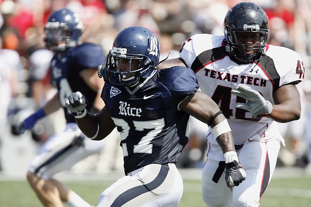 机制功不可 机制功不可