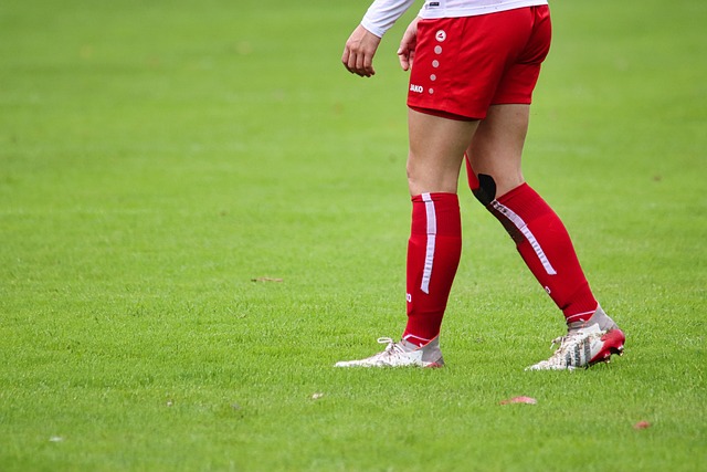 名主力球员 名主力球员