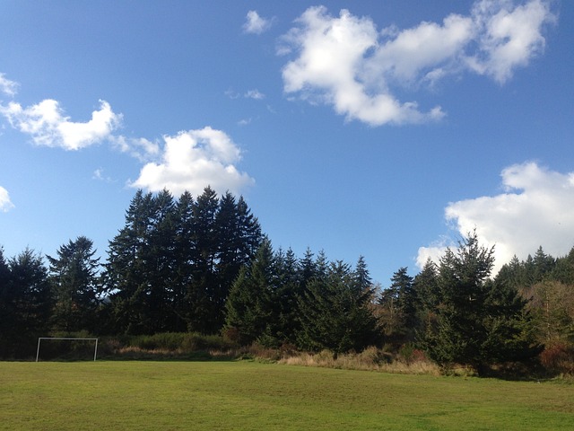 最大限度地