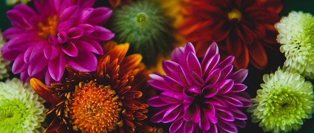 这种精神和 这种精神和