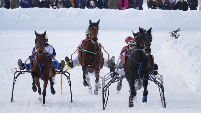 而谷歌与利 而谷歌与利