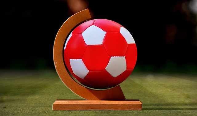 十五运会U 十五运会U