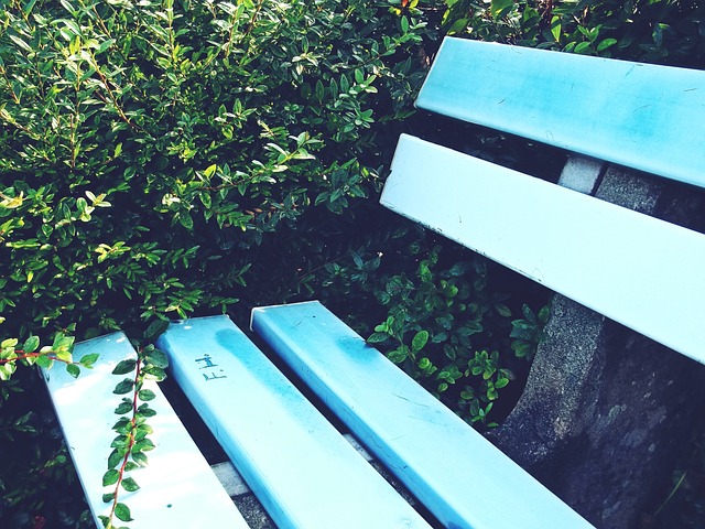 布鲁娜的支 布鲁娜的支