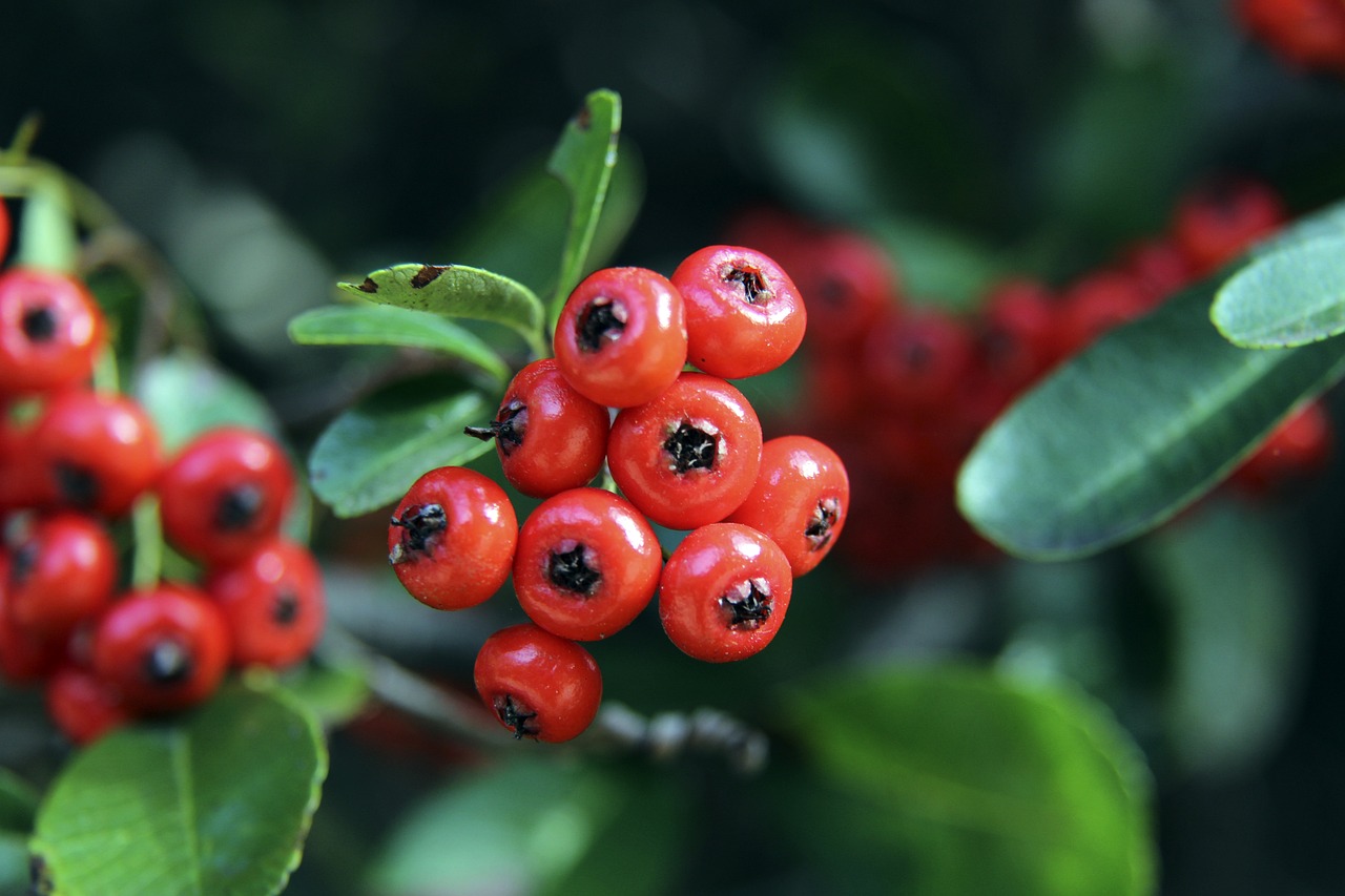 运动员伤病 运动员伤病