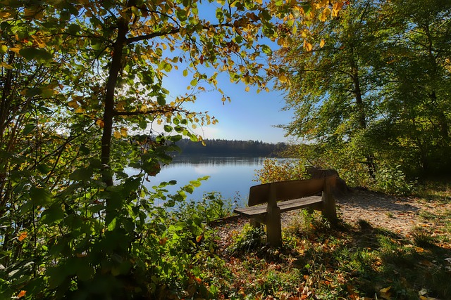 杯都是诸强 杯都是诸强