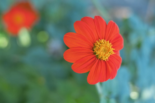 上都受益匪 上都受益匪