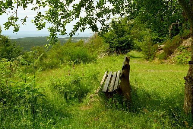 添更多活力 添更多活力