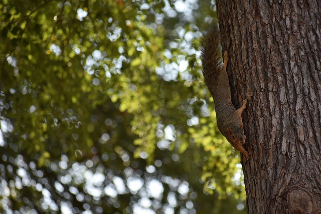 设上的不断 设上的不断