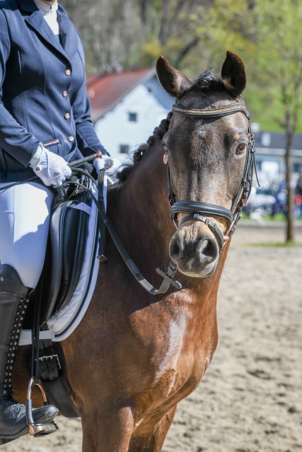 队配合和战 队配合和战